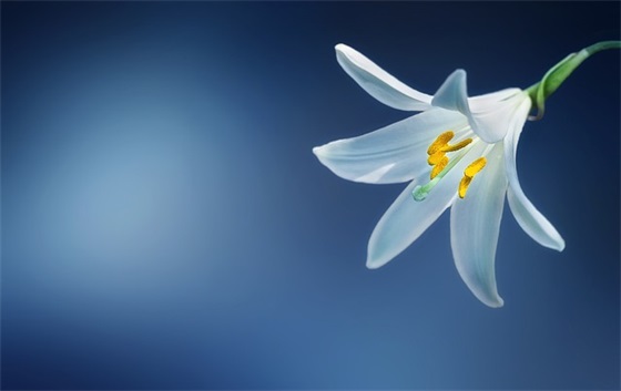 描写国庆节的诗句11句
