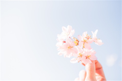 虎年新年贺词祝福语2025 新年好呀新年好呀祝福大家新年好