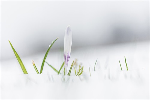 中秋节祝福语朋友圈2025 中秋节快乐祝福语