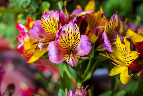 3.12植树节文案句子简短干净精选(植树节语句简短)