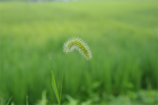 个性网名字 冷开头