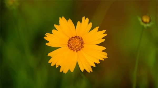 六一儿童节走心简短文案句子(六一儿童节寄语简短)
