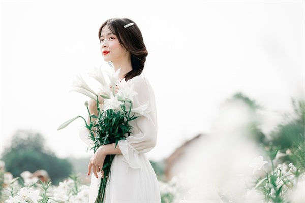 世界读书日的美好句子 世界读书日优美句子