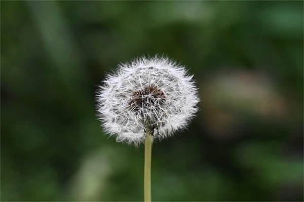有关甜蜜告白句子 甜蜜告白的句子