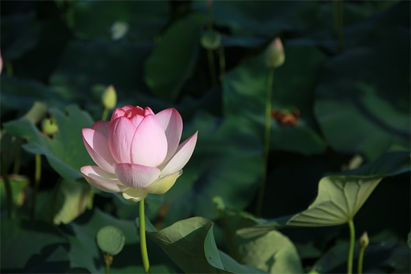 为中考加油的暖心句子