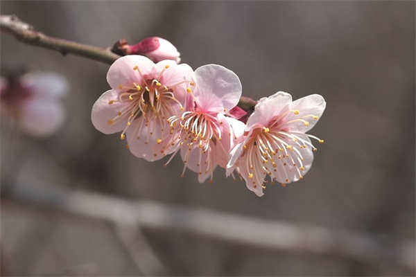 爱情伤感句子句句心痛表达心情