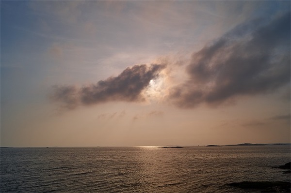 描写初夏的优美句子