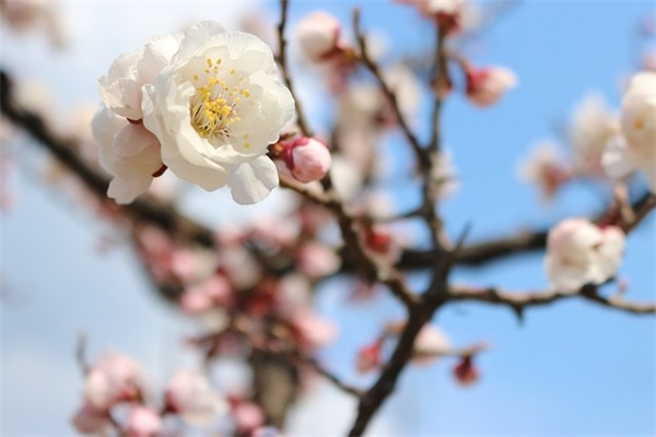 发朋友圈生日祝福语57句