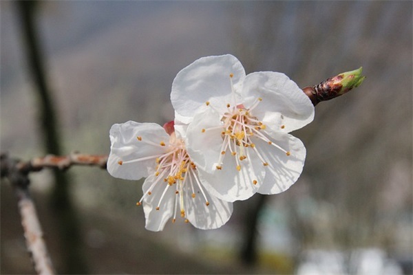 2025端午节祝福语话语 端午节祝福语2025最火