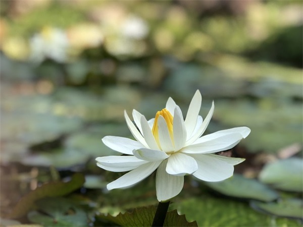 朋友圈发婚纱照文案短句干净(精选27句)