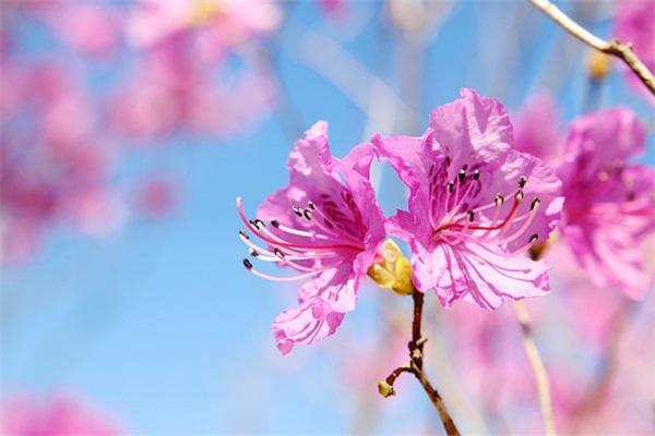 九年级是终点也是起点(精选3篇)