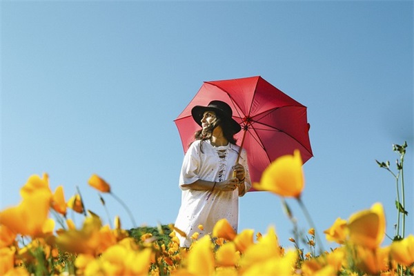情人节卡片情话 情人节贺卡内容简短(精选34句)