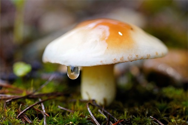 电脑操作文员求职简历模板