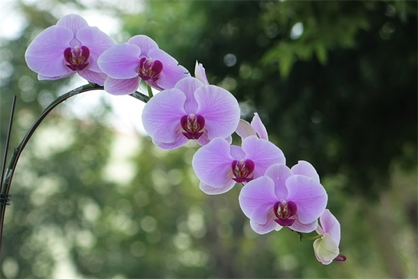 乖乖文章范例6篇