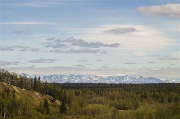 专题组织生活会方案范例6篇