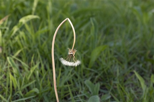 生活欺骗了你作文范例6篇
