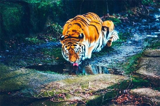 关于发电专业的求职信