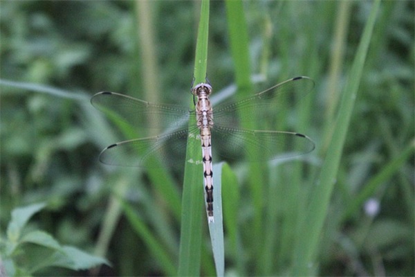 计算机教学论文范例6篇
