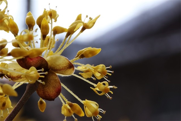 寒假家教范例6篇