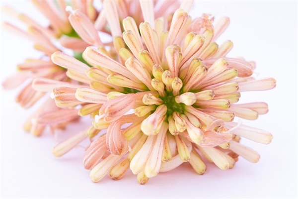 初中班主任论文范例6篇