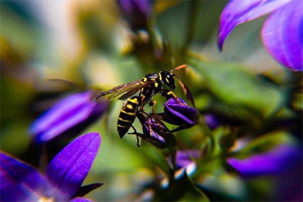 包村情况汇报范例6篇
