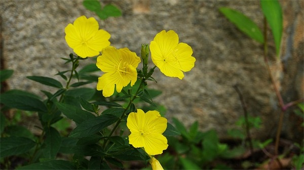 美丽中国美好家园范例6篇