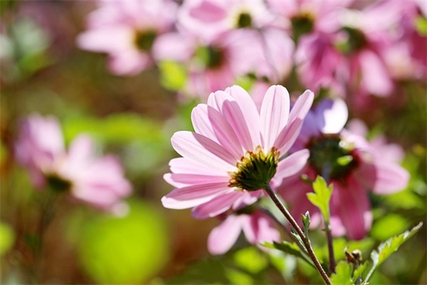 周丽落水范例6篇