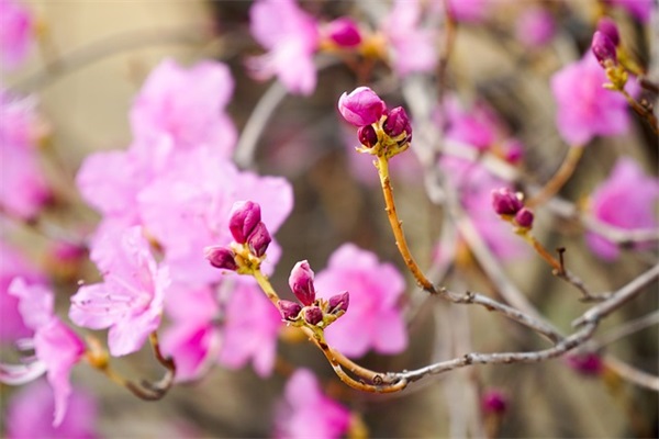 作风整顿个人剖析材料范例6篇