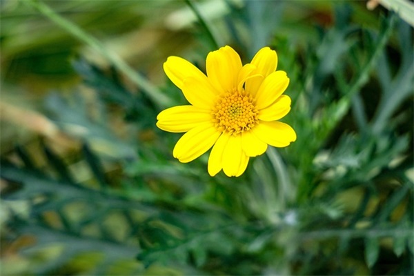 政治学习笔记范例6篇