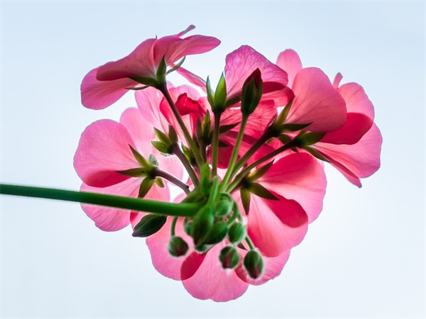 品味妈妈的味道范例6篇