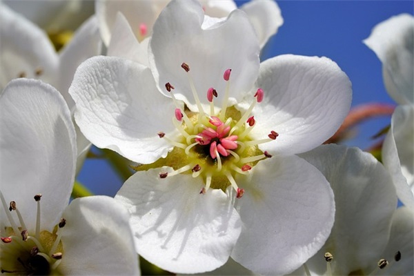 我的理想作文800字范例6篇