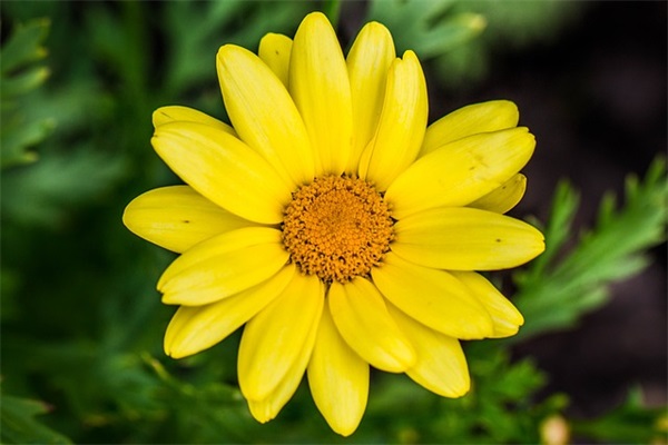 个人简介模板范例6篇