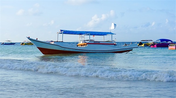 我们的音乐故事范例6篇