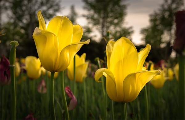 思八达企业培训范例6篇