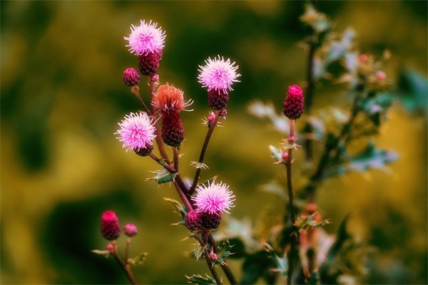 我和一起作文范例6篇