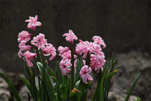 爱的好辛苦范例6篇