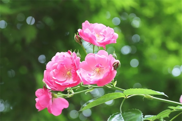 最难忘的一件事范例6篇