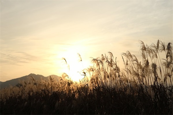 青色五月范例6篇