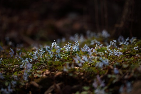 老师教我写作文范例6篇