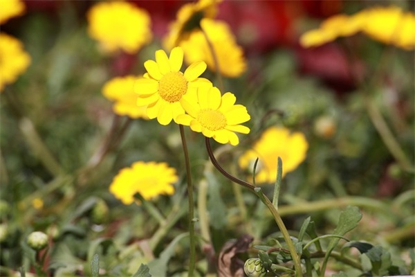 内科护理论文范例6篇