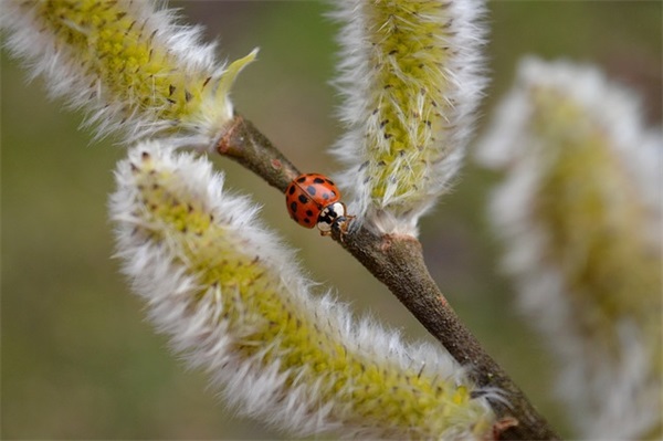美妙的生活范例6篇