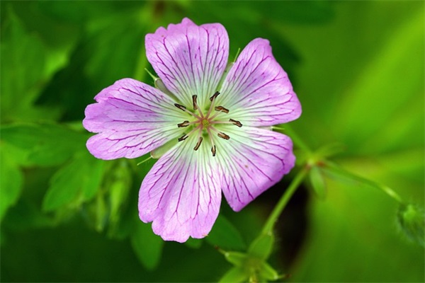 欺骗感情的文章范例6篇