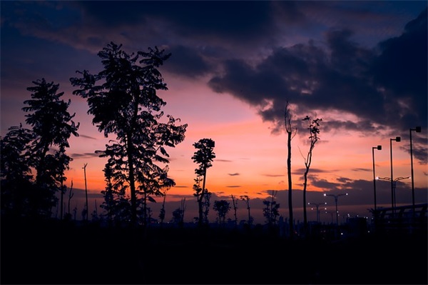 高考负分作文范例6篇