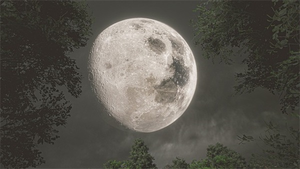 我与老师的故事范例6篇