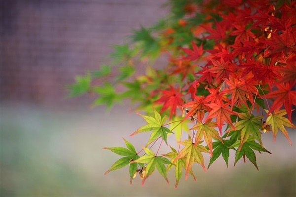 浙江作文范例6篇