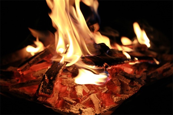 法律经济学论文