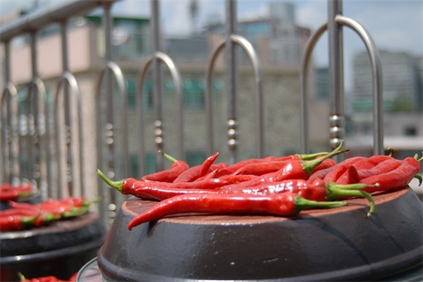 公司人事管理流程