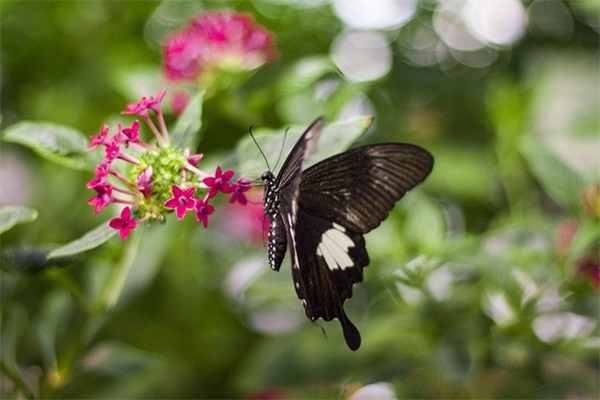 班组建设工作总结