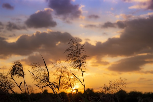 化学分析工论文范例6篇