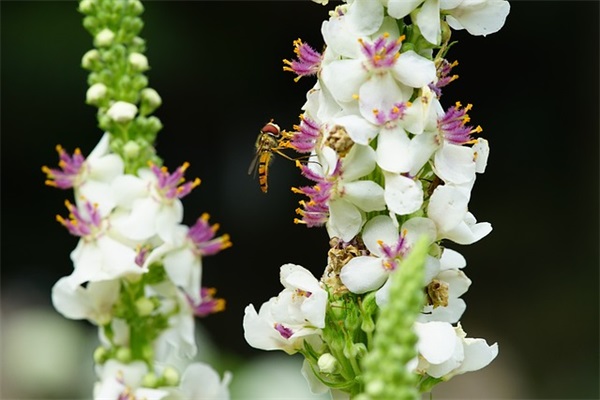 现代文学论文范例6篇